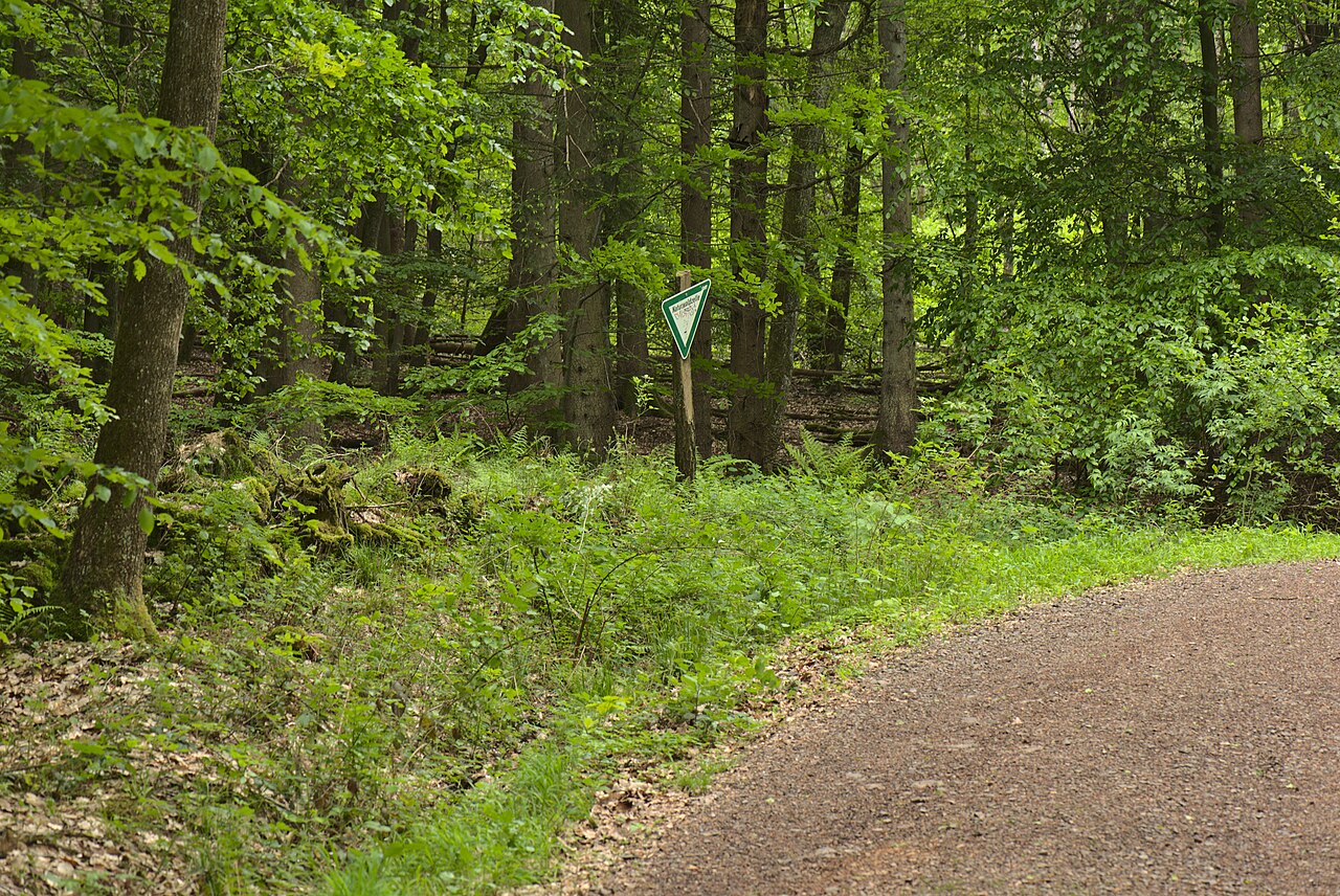 Ein Eingang von einem Waldweg zu dem Naturschutzgebiet Heidhübel in Saarbrücken-Burbach
