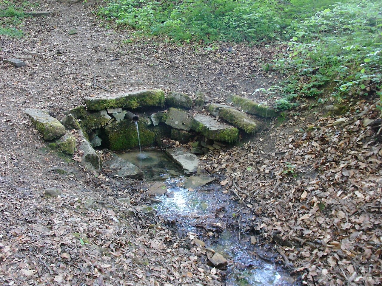Das Naturdenkmal Quelle u