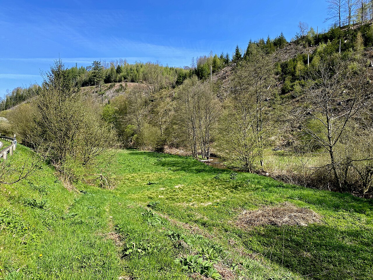 Feuchtwiesen im Naturschutzgebiet Heilenbecker Tal