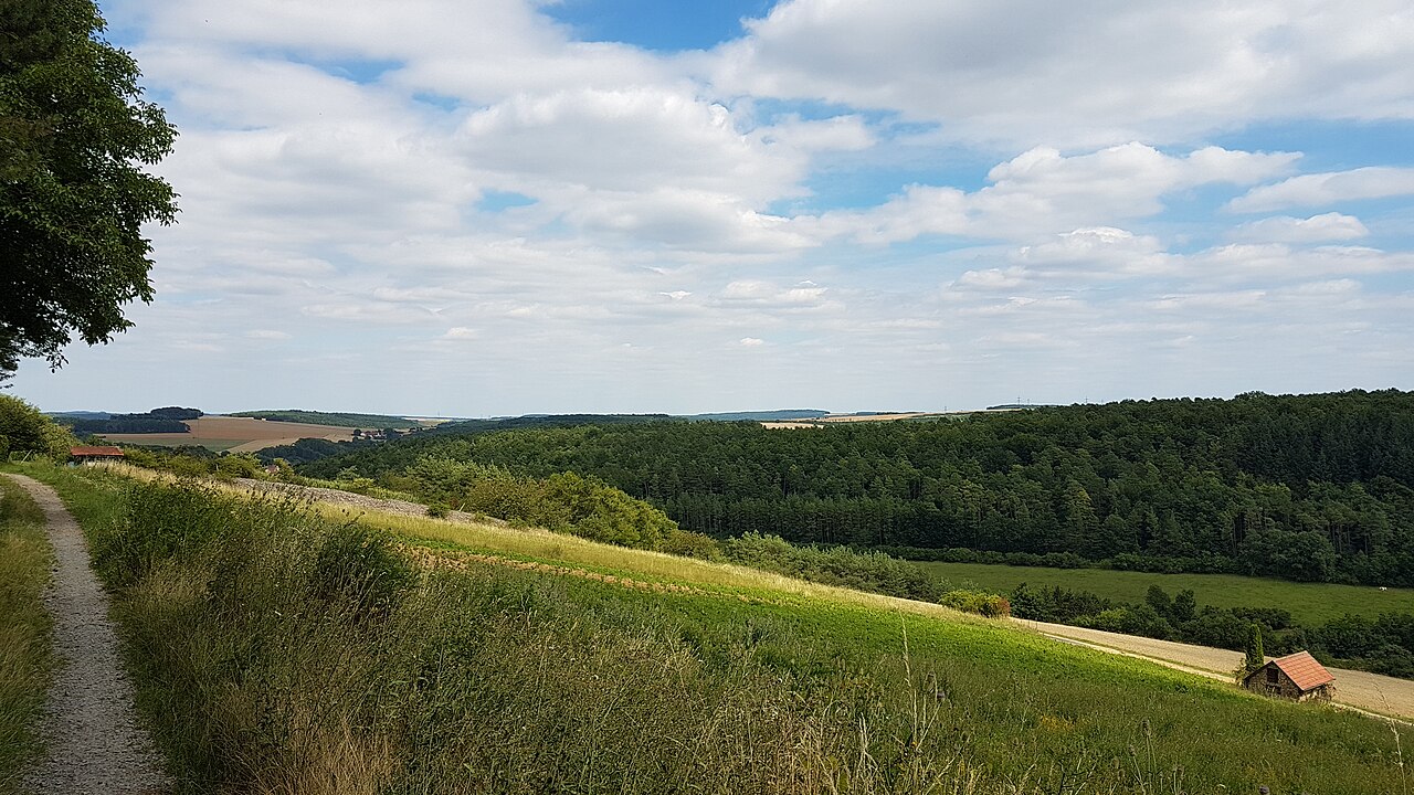 Weinberge am Heiligenberg in Dittwar