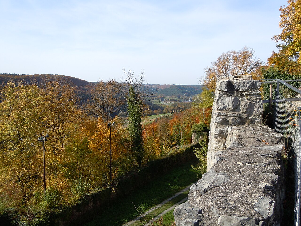 Buchenwald am Westhang des Nagolder Schlossbergs
