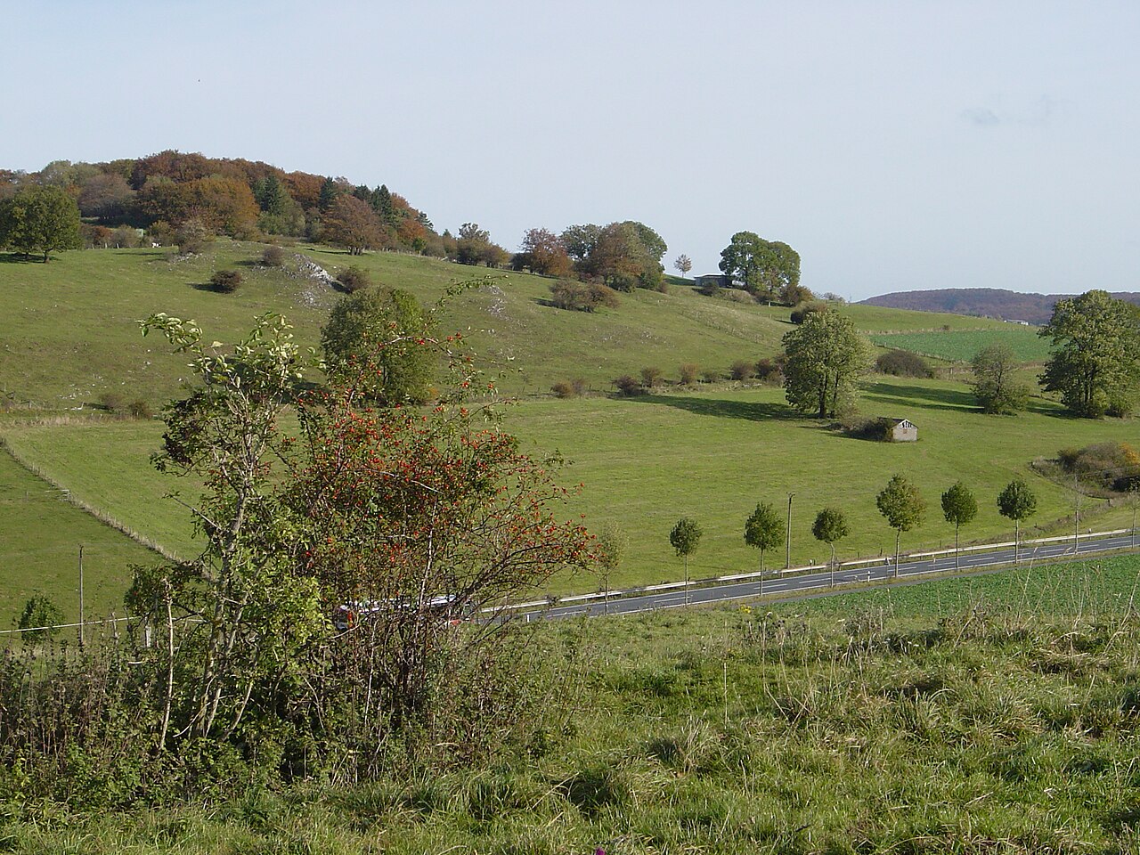 Naturschutzgebiet Schaaken von Süden (obere Bildhälfte)