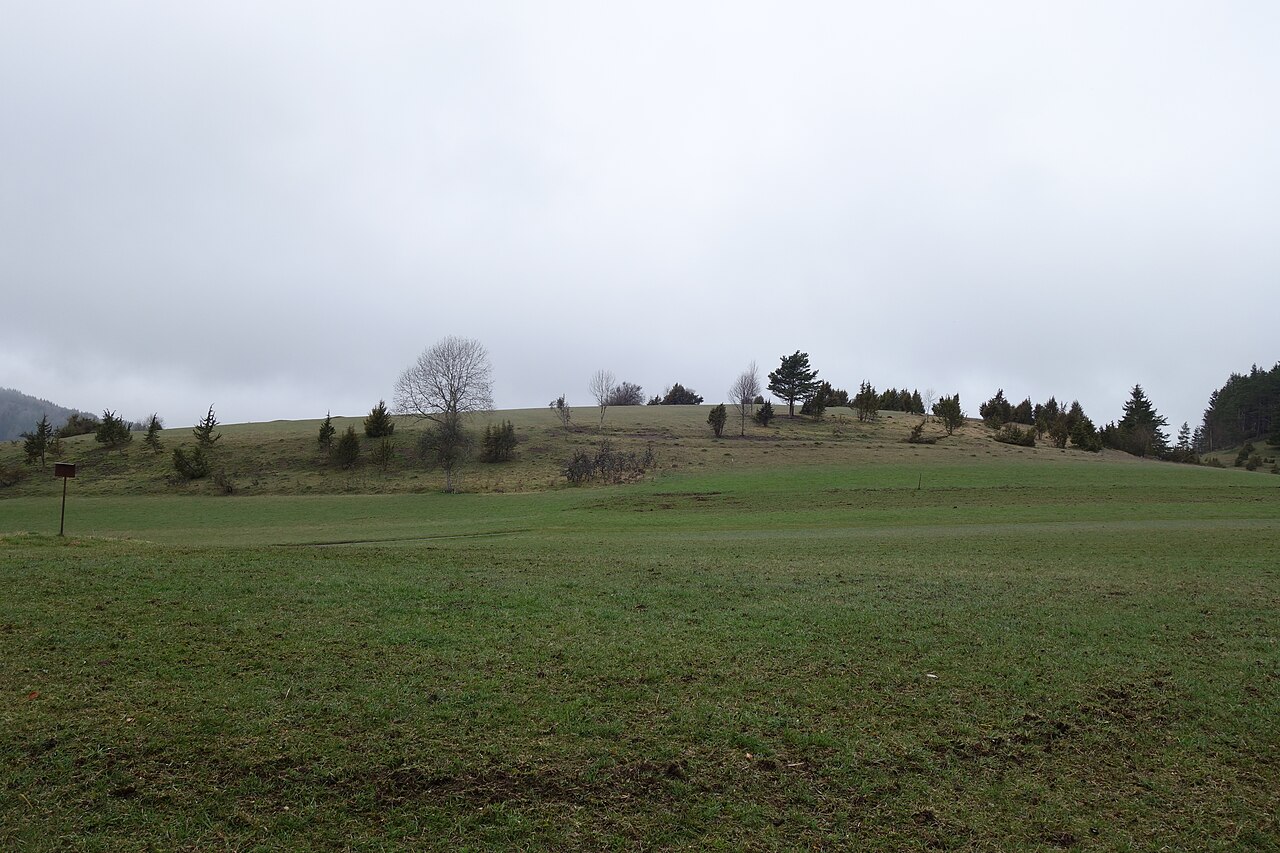 Wacholderheide auf der Hochfläche des Heimbergs im Naturschutzgebiet Heimberg in Meßstetten- Unterdigisheim