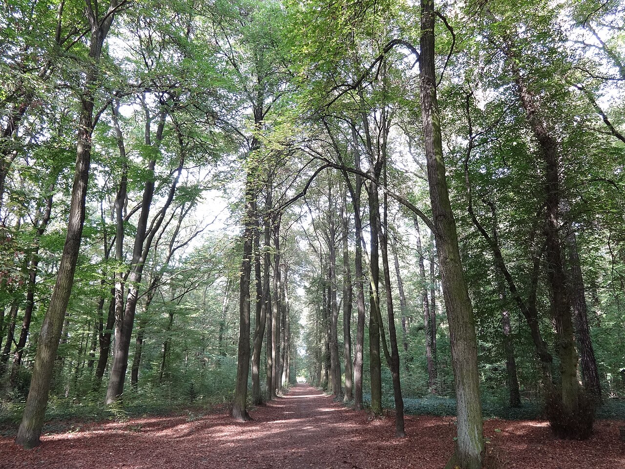 Foto von Heinrich-Laehr-Park