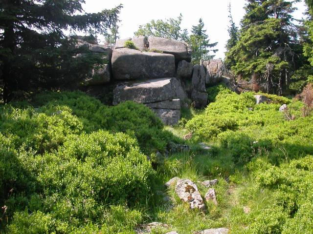 The Heinrichshöhe, the second highest peak in the Harz mountains in Germany