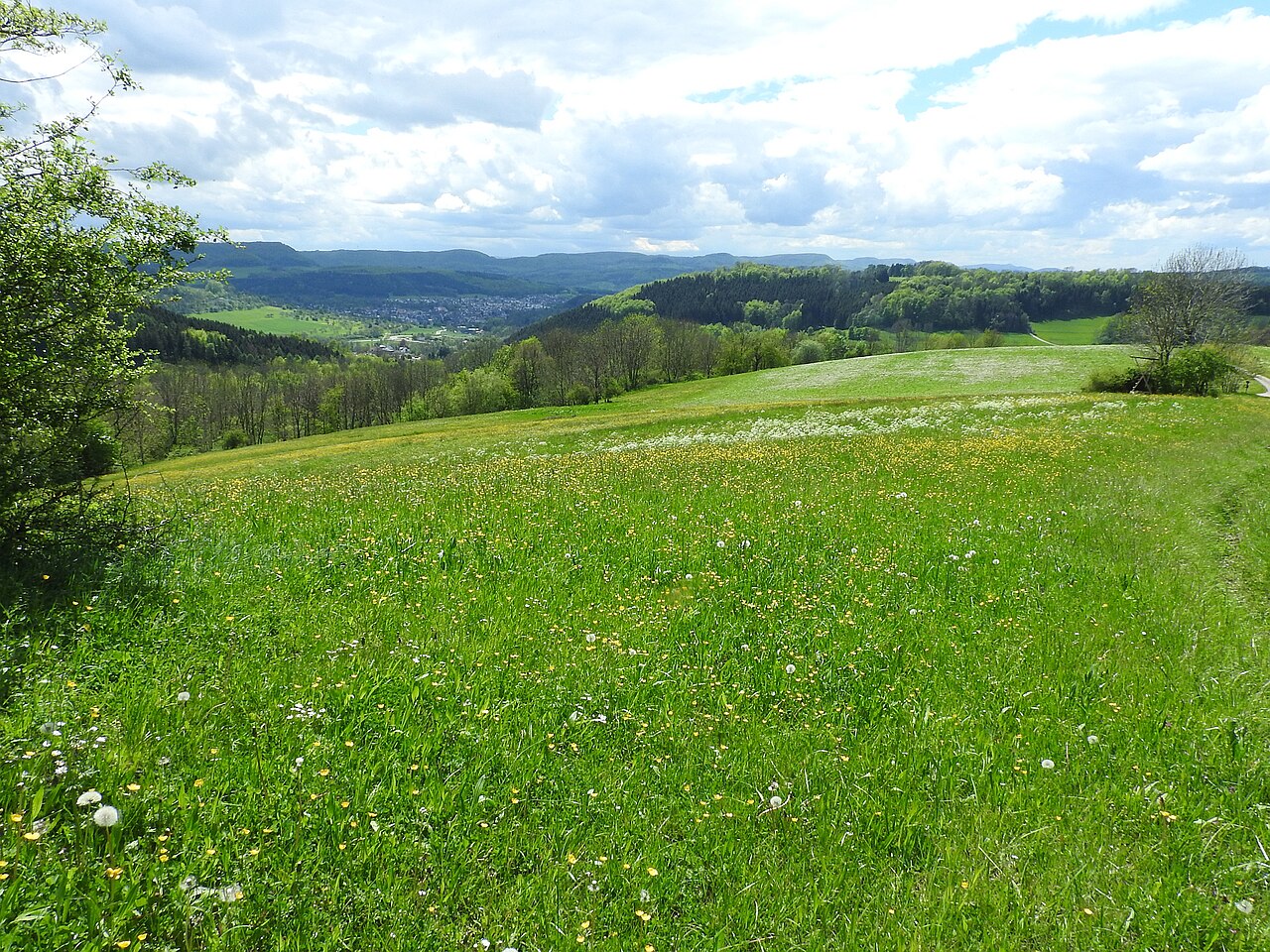 NSG bei Donzdorf Winzingen, 13