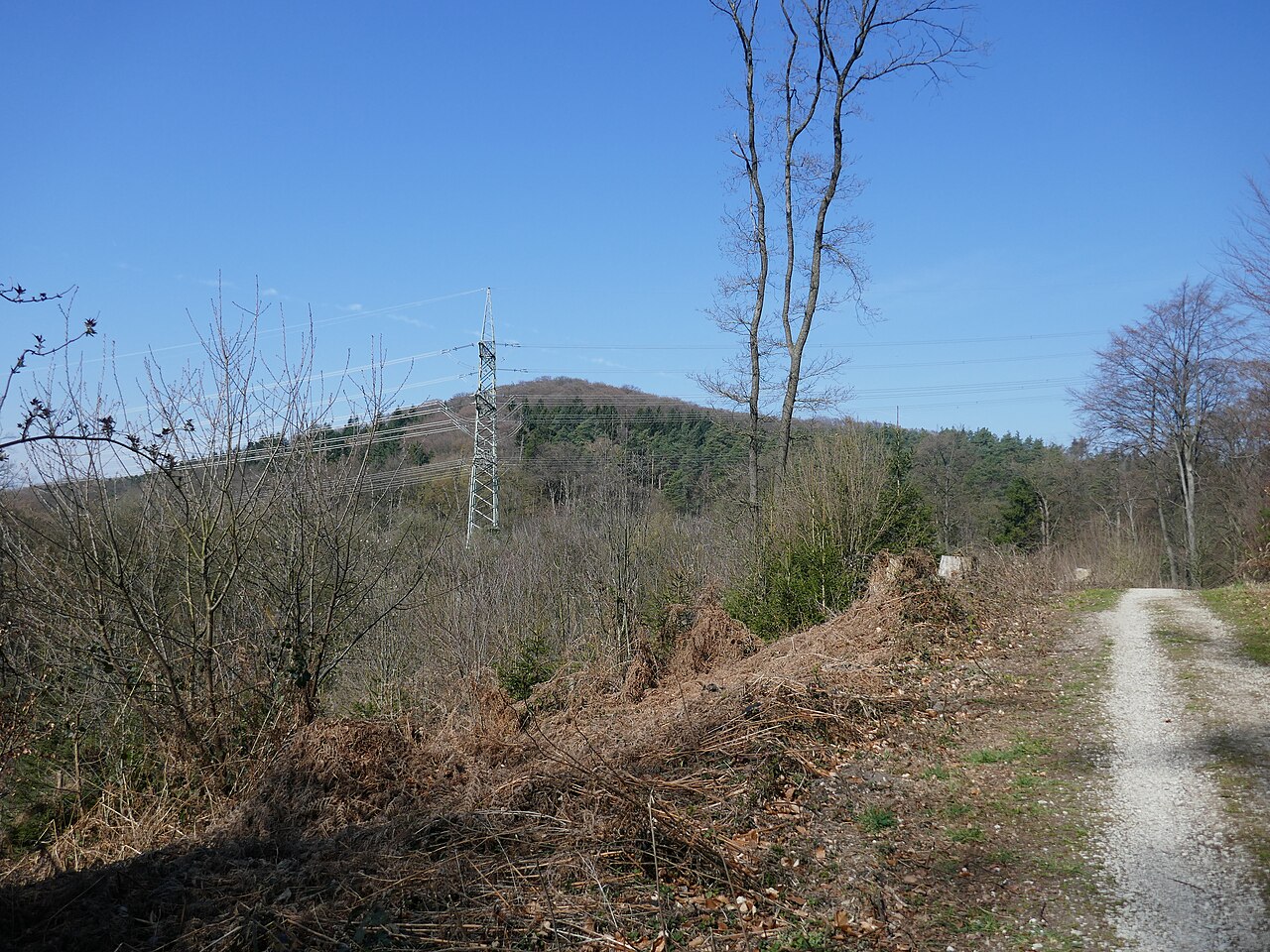Hellegrundsberg im Teutoburger Wald bei Bielefeld