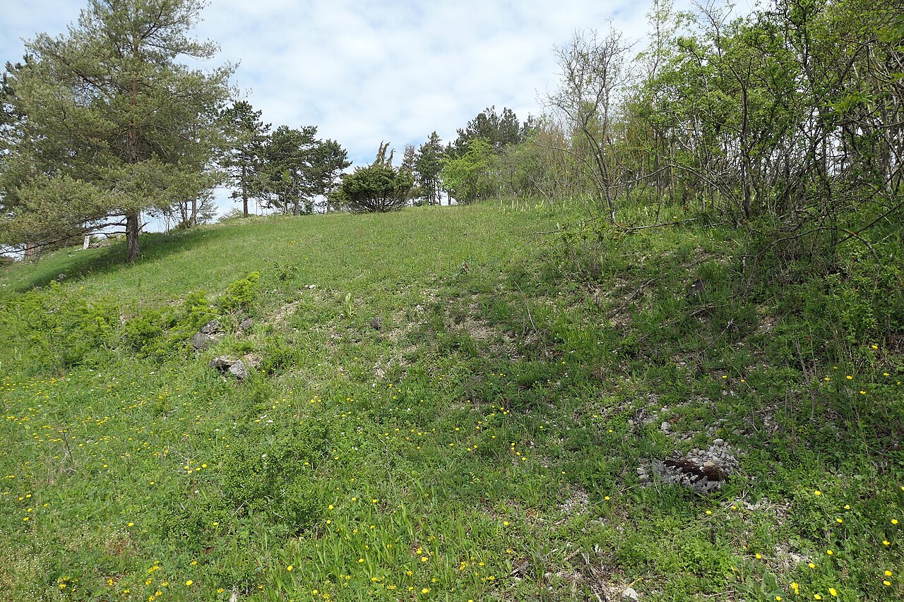 Naturschutzgebiet Helmental-Kleinleiden bei Werbachhausen (Werbach, Main-Tauber-Kreis, Baden-Württemberg)