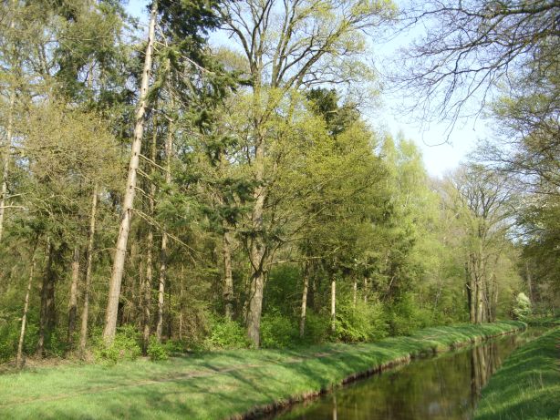 Naturschutzgebiet „Hemmelskamp“ (mit Randgraben)