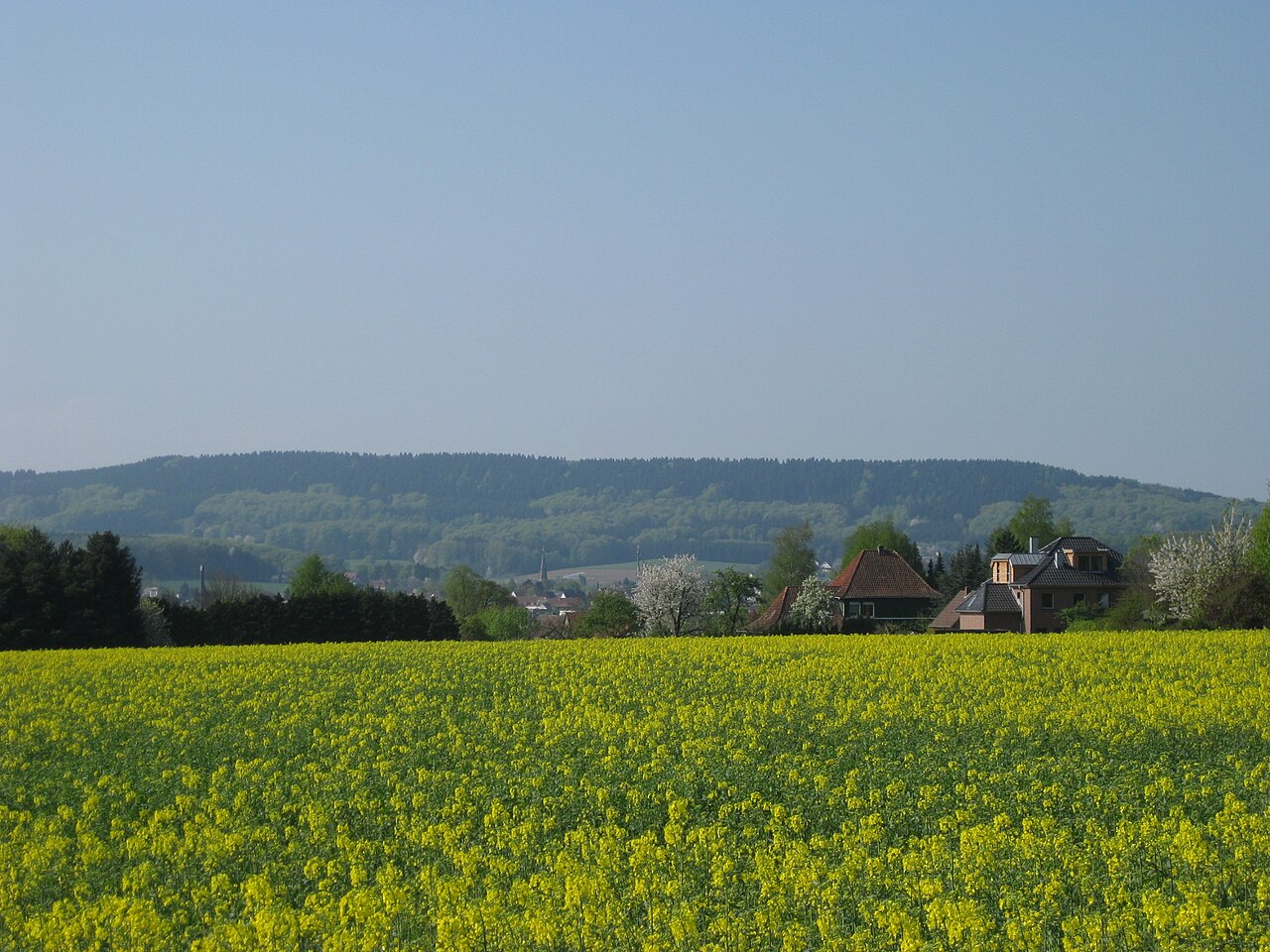 Halle (Westfalen) - Hengeberg (hill), seen from Werther