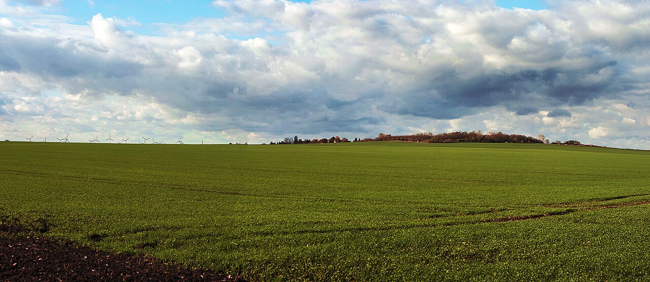 Der Henneberg von Osten aus gesehen