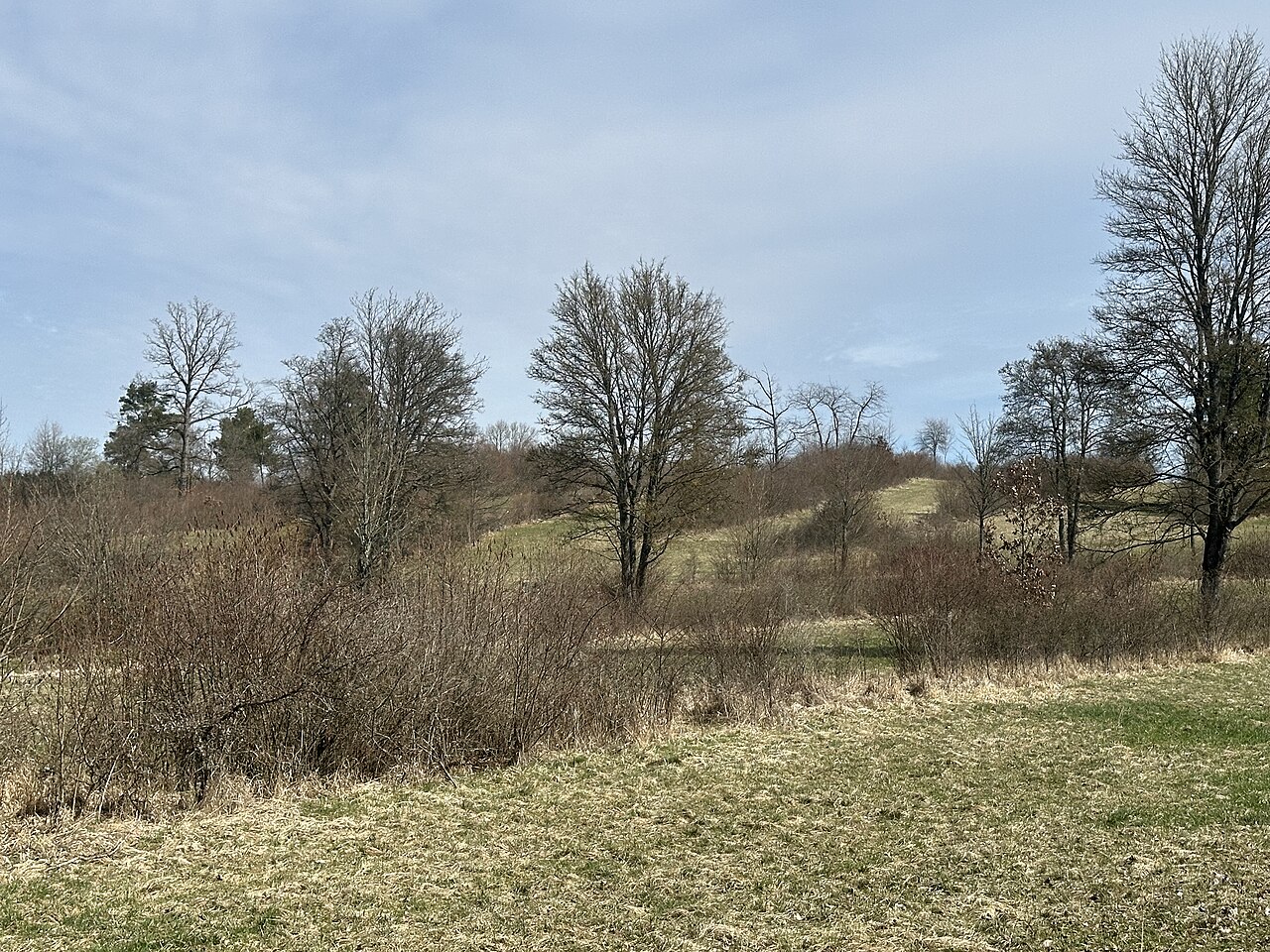 Naturschutzgebiet Herdle