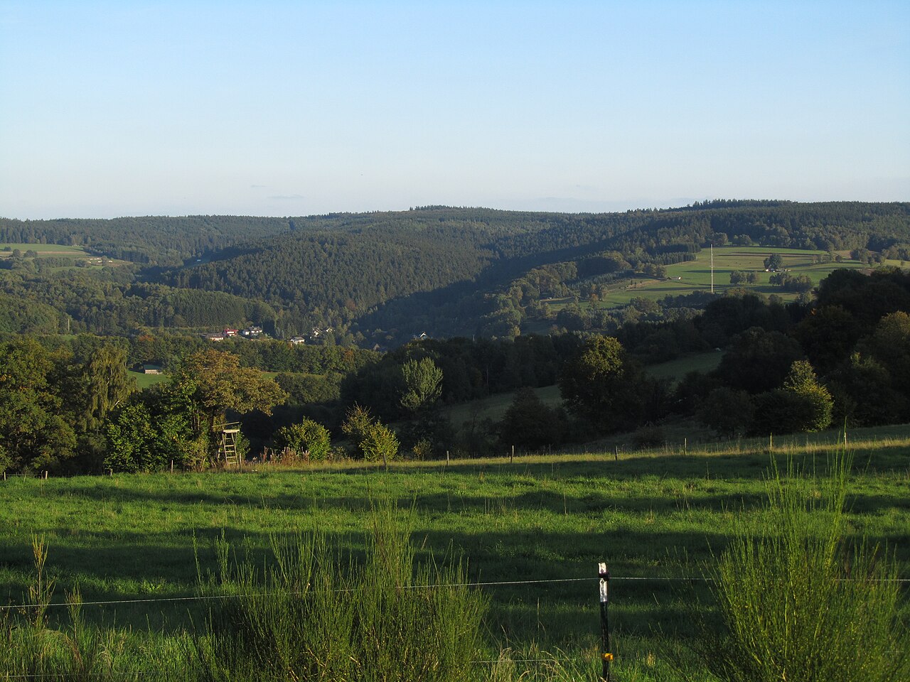 Die Hermannskoppe im Spessart von Nordwesten