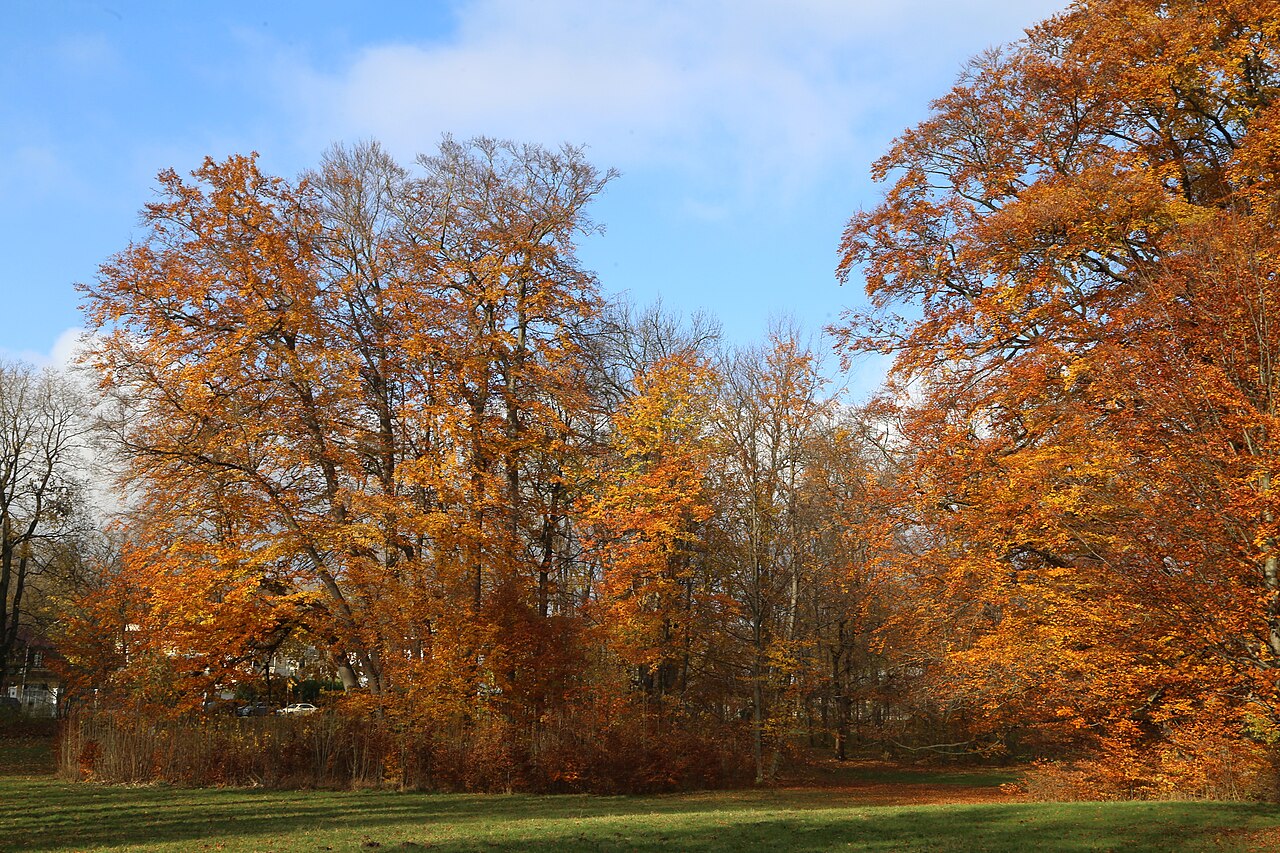 Herzog-Albrecht-Anlage (Freizeitpark Herzogpark), München