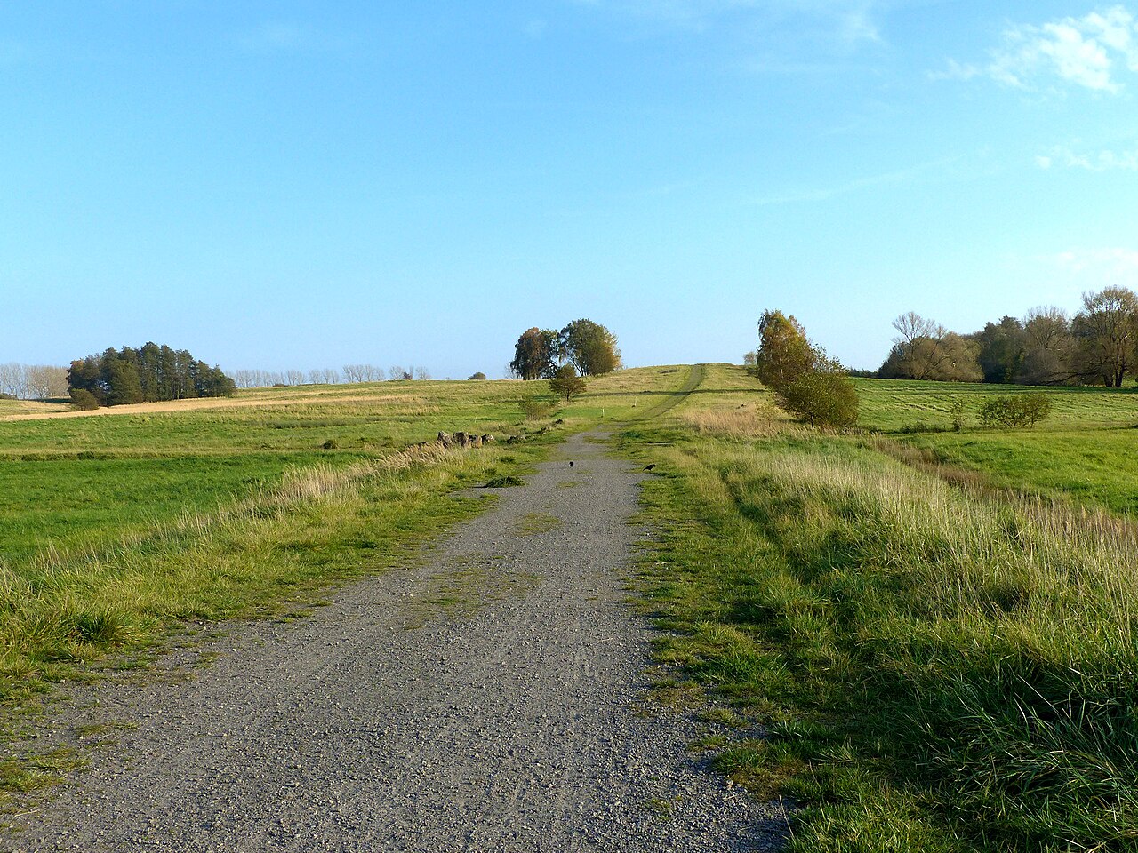 Blick hinauf zum Herzogsberg/Ehlerberg Richtung Südosten