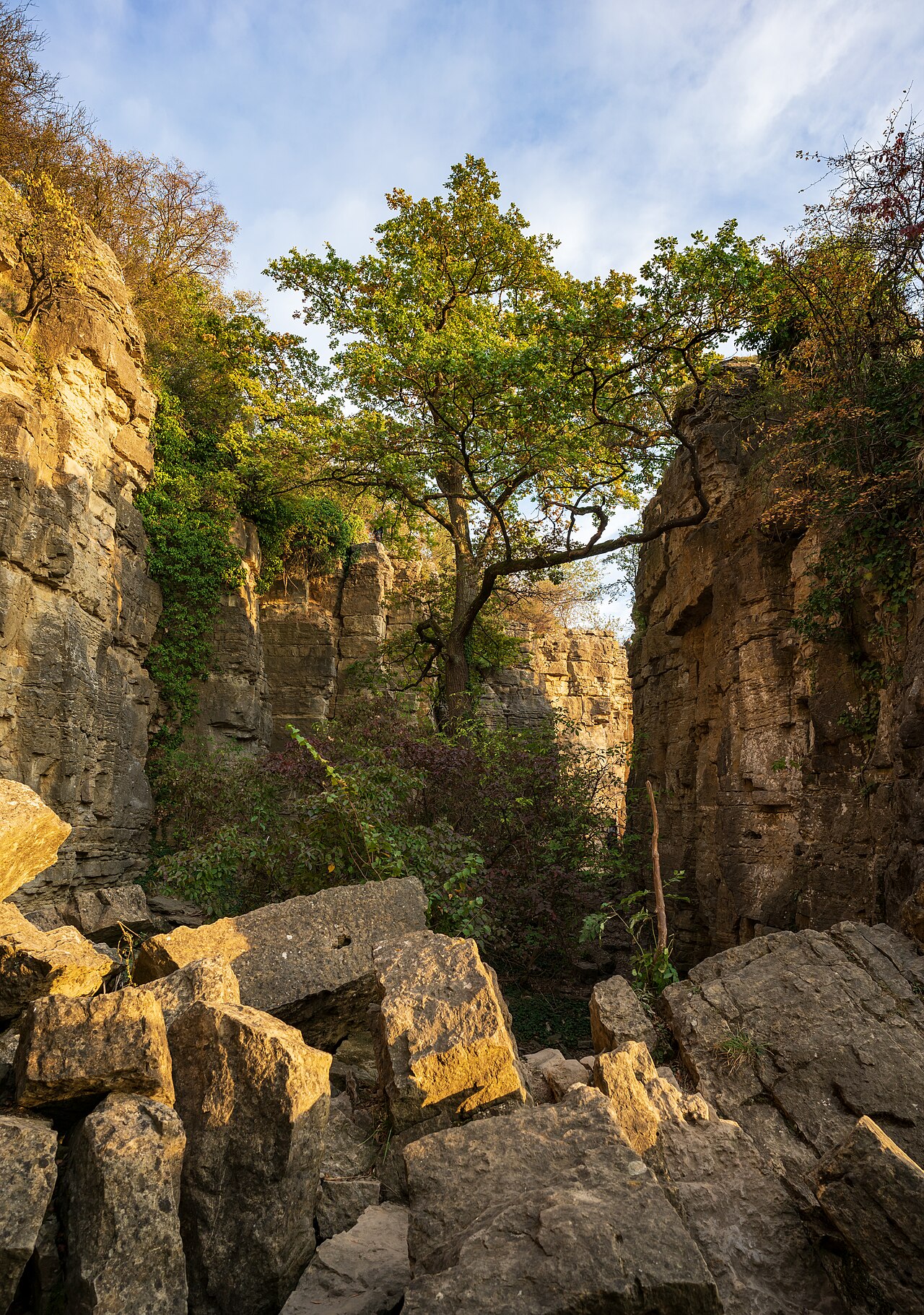 Gorge in the Hessigheimer Felsengärten , a nature reserve near Hessigheim , Germany ( WDPA-ID 318536 )