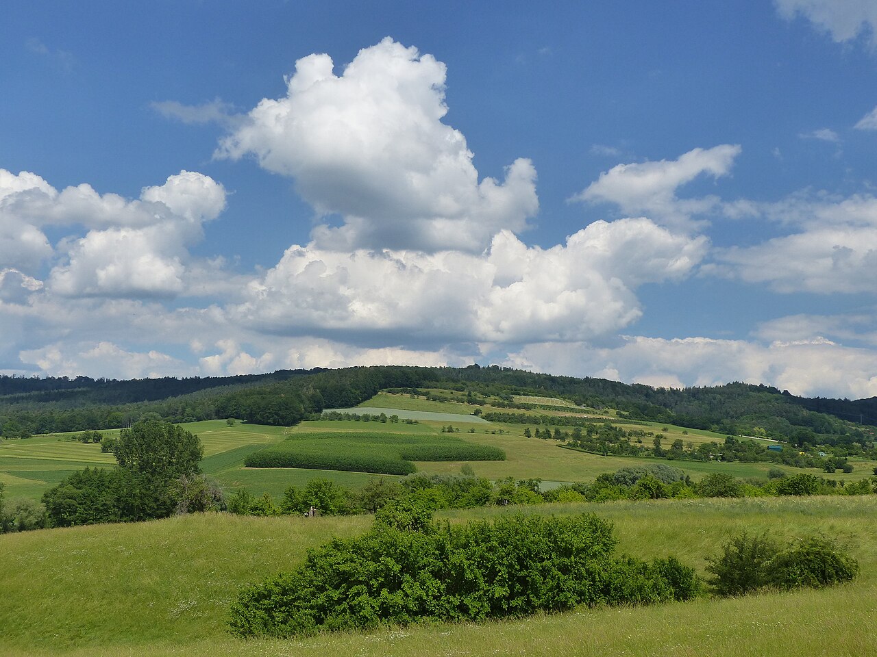 The southwestern slopes of the Hetzleser Berg , a mountain in the southwest of the Franconian Switzerland