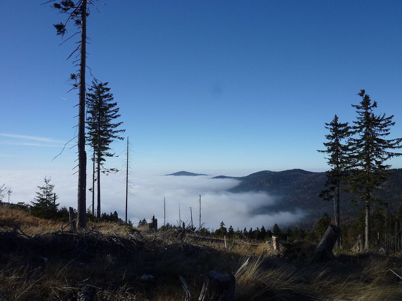 Blick vom 1261 m hohen Heugstatt zurück über den Arberkamm in Richtung Hoher Stein, Mittagsstein