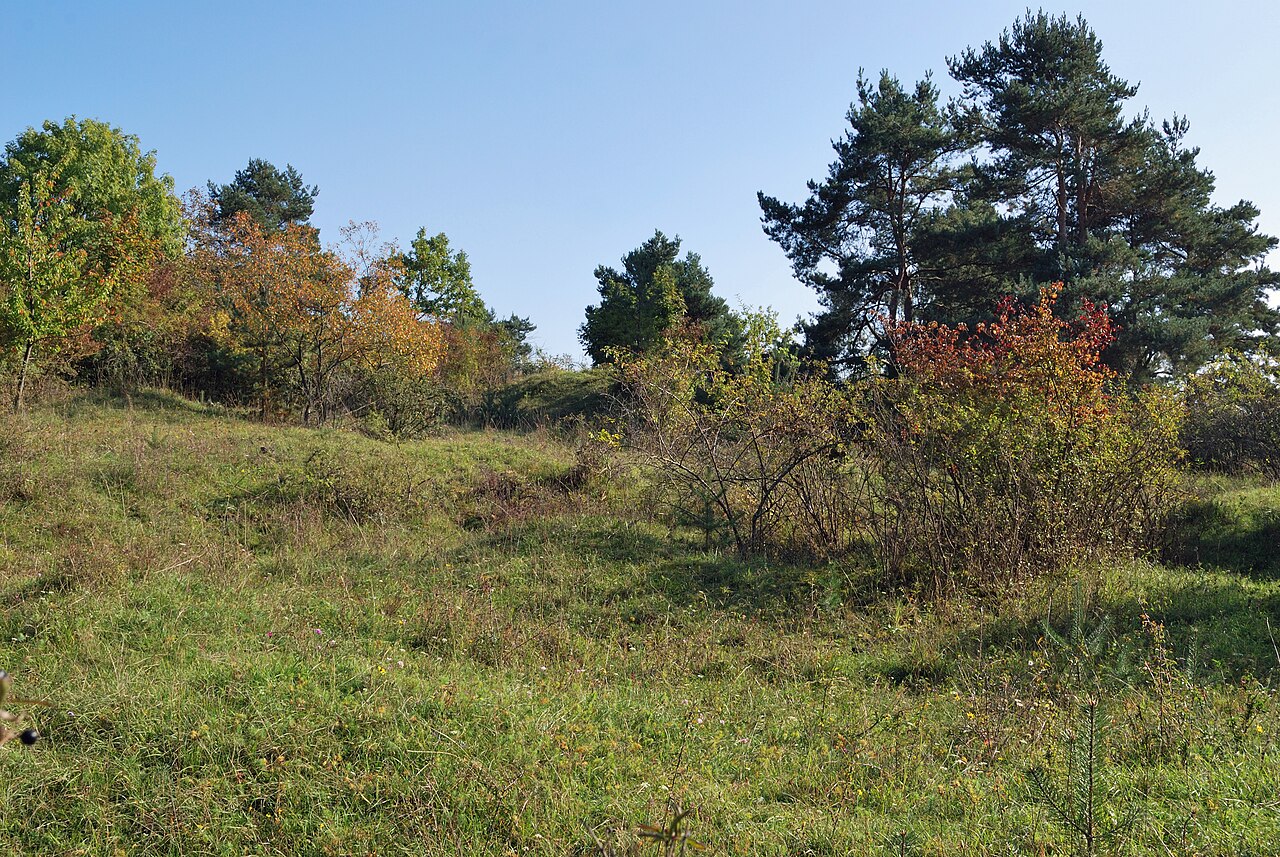 Nature reserve Heulerberg in Vaihingen an der Enz in the German Federal State Baden-Württemberg