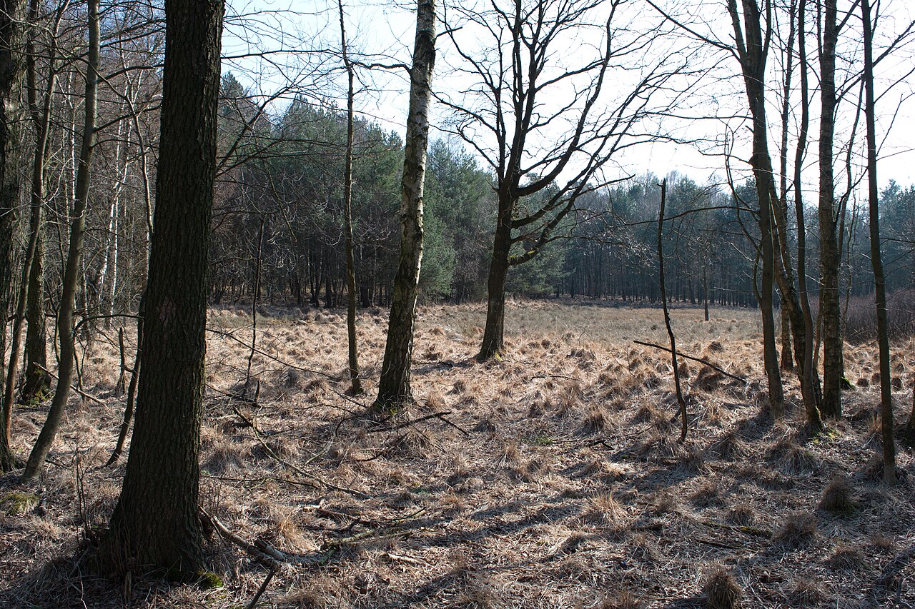 Hildener Heide, Hilden