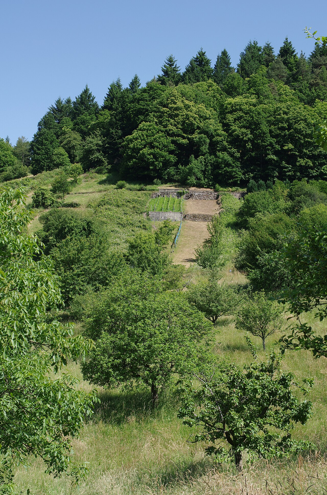 Streuobstwiesen und Gärten im nördlichen Bereich des 2014 neu eingerichteten Naturschutzgebiets Hilpertsau