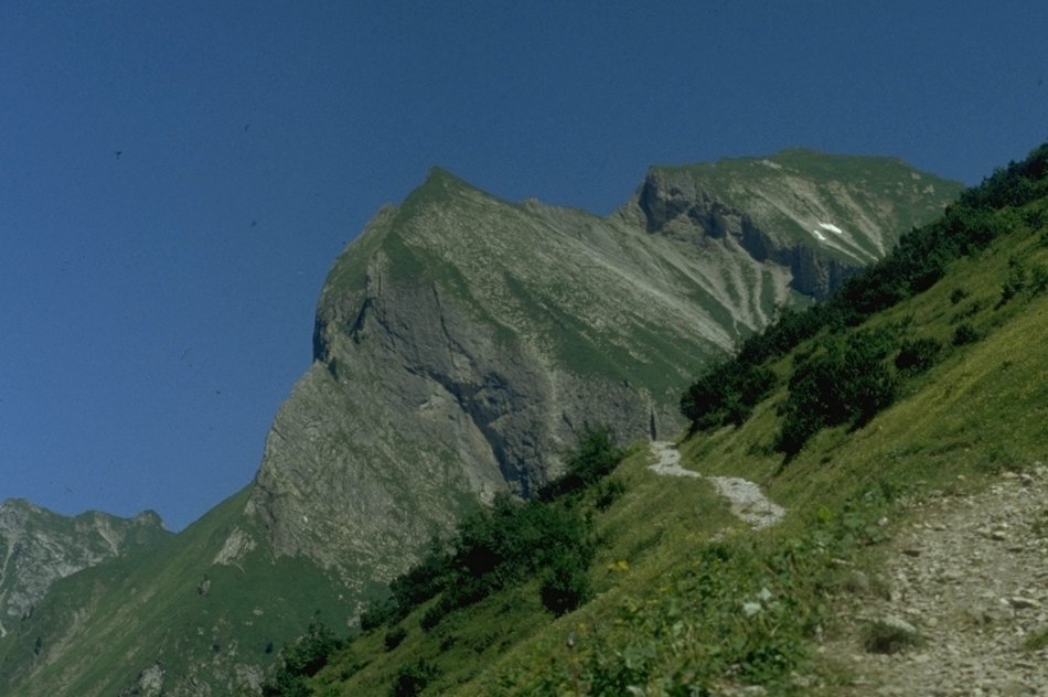 Himmelhorn vom Weg von der Käseralpe zum Wildenfeld