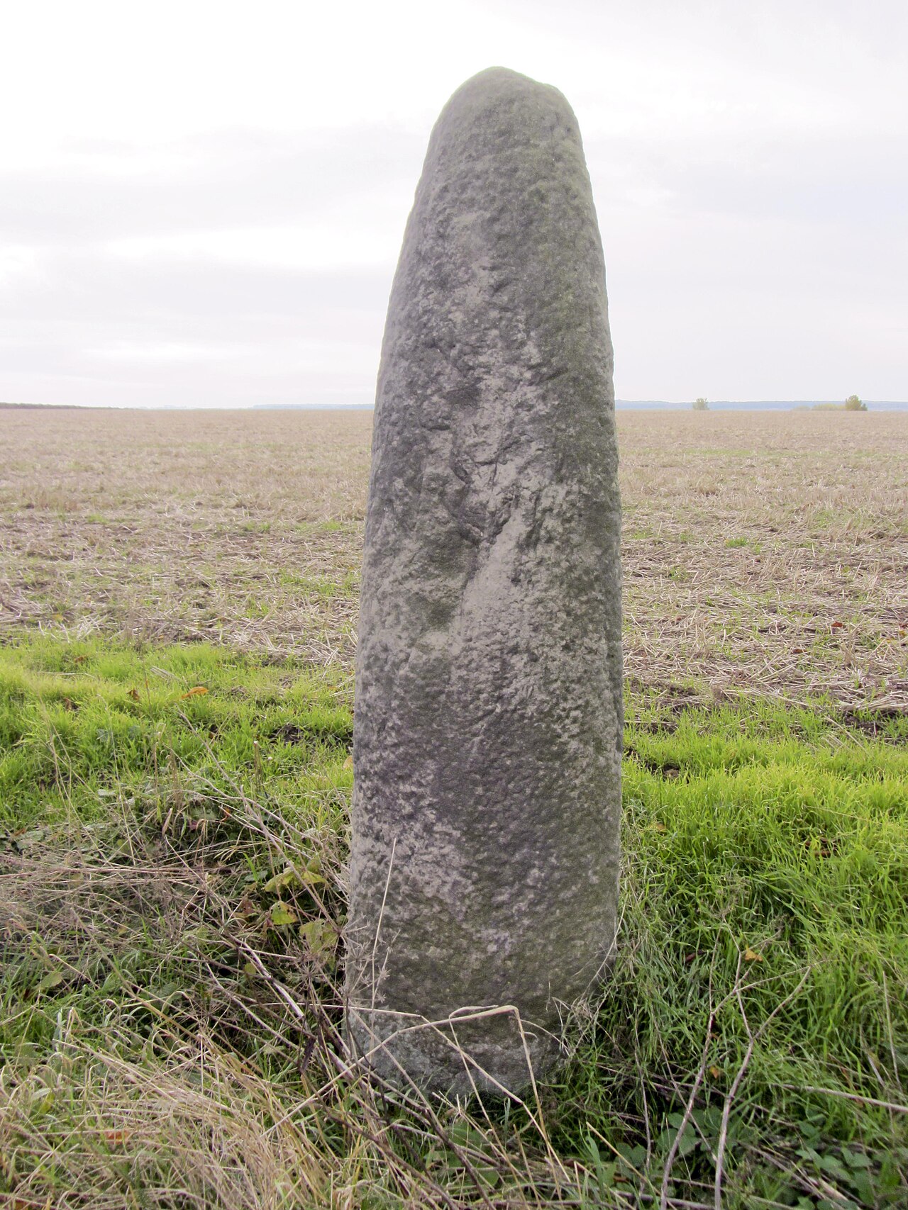 Menhir auch "Hinkelstein" oder "Langer Stein" genannt bei Eilsleben