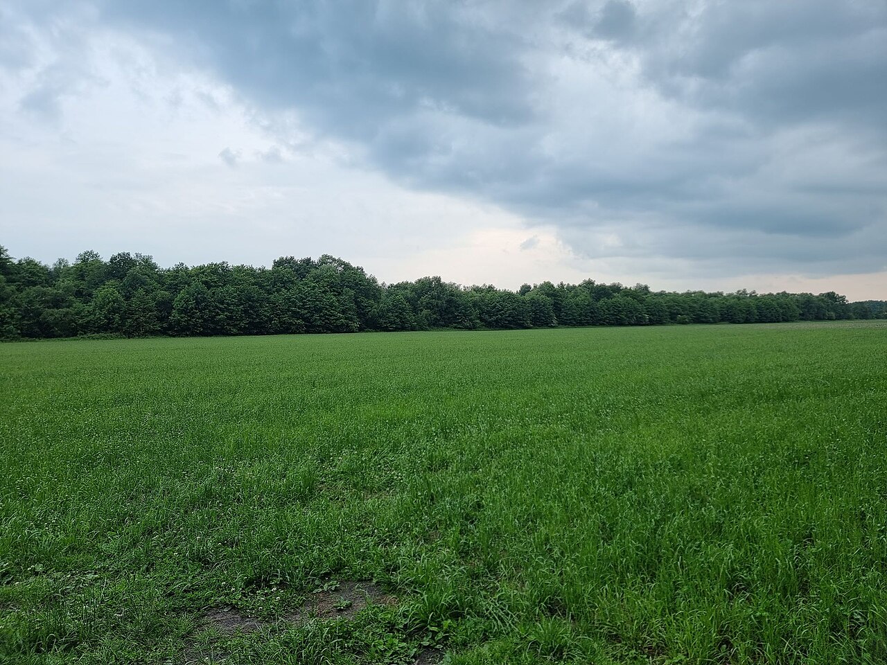 nature reserve Hinter dem Wieh Brock
