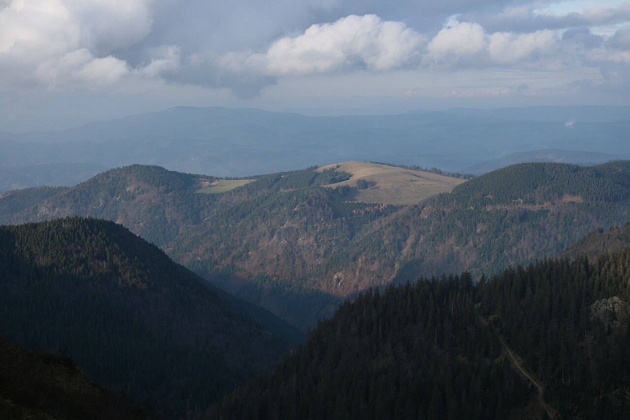 The Hinterwaldkopf, a mountain in the Schwarzwald