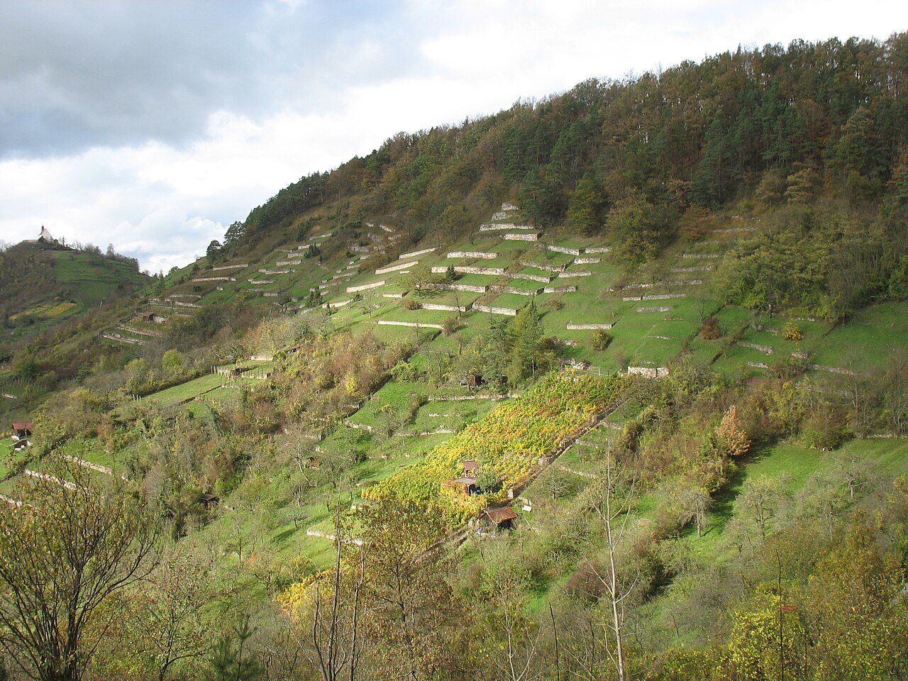 Blick auf den Spitzberg (Hirschau, zu Tǘbingen gehörend)