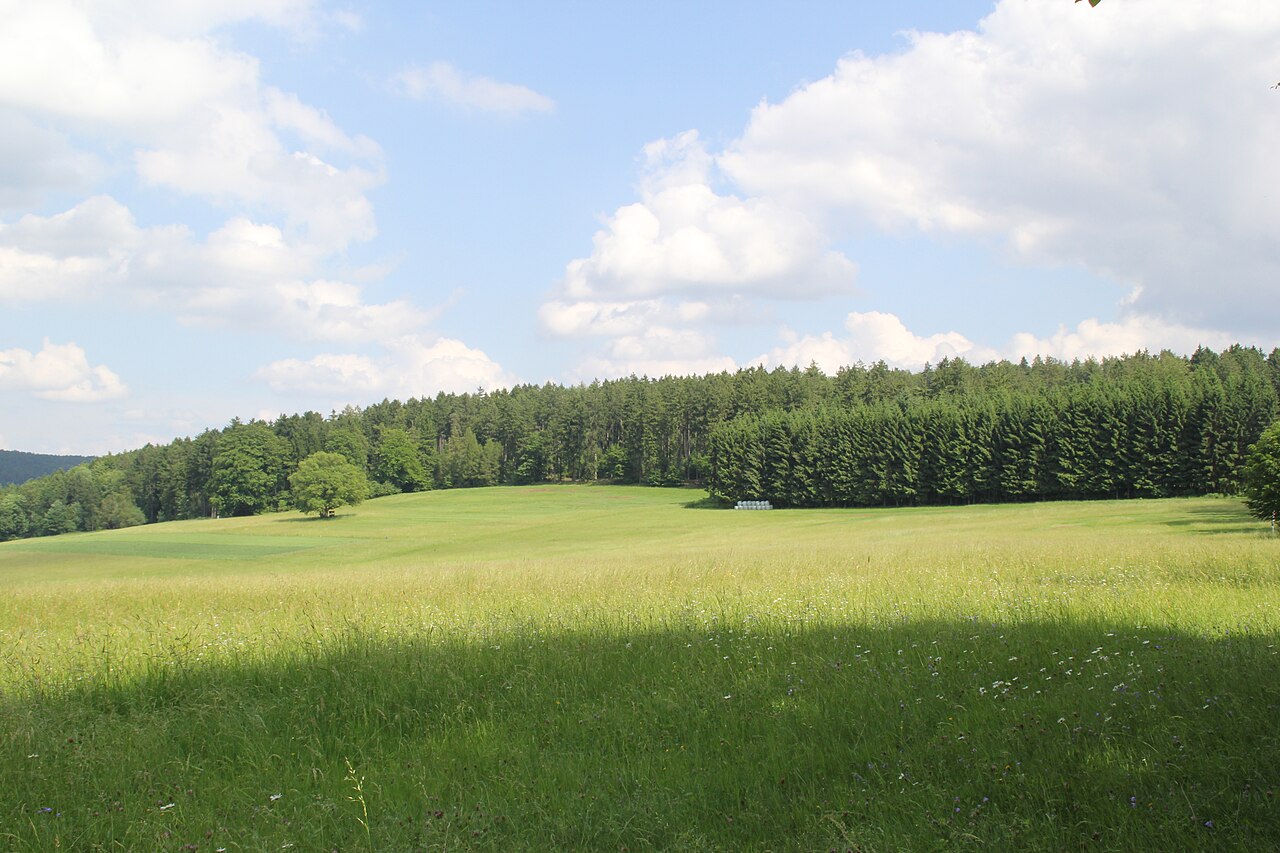Der Gipfel des Hirschberges