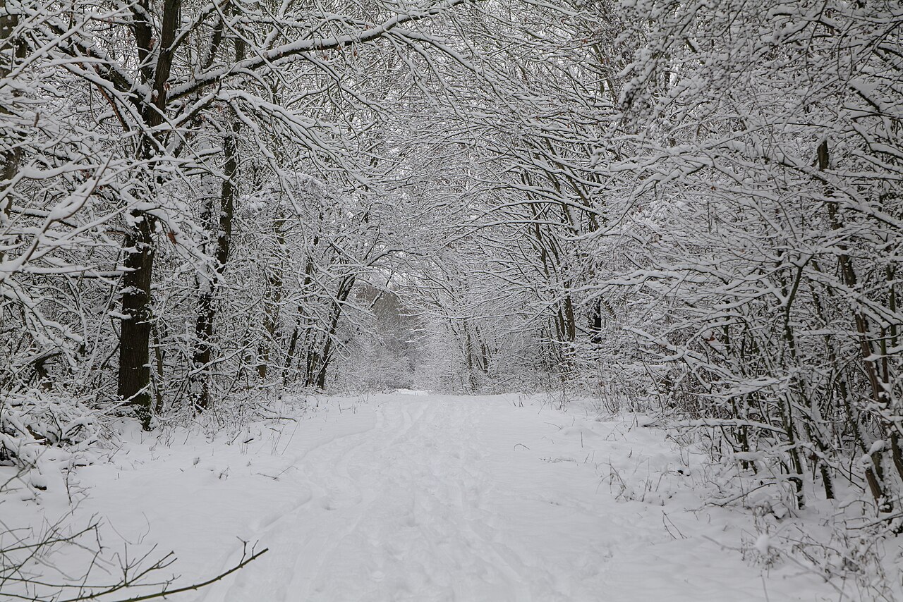 Hirschberg im Düppeler Forst mit Schnee am 30