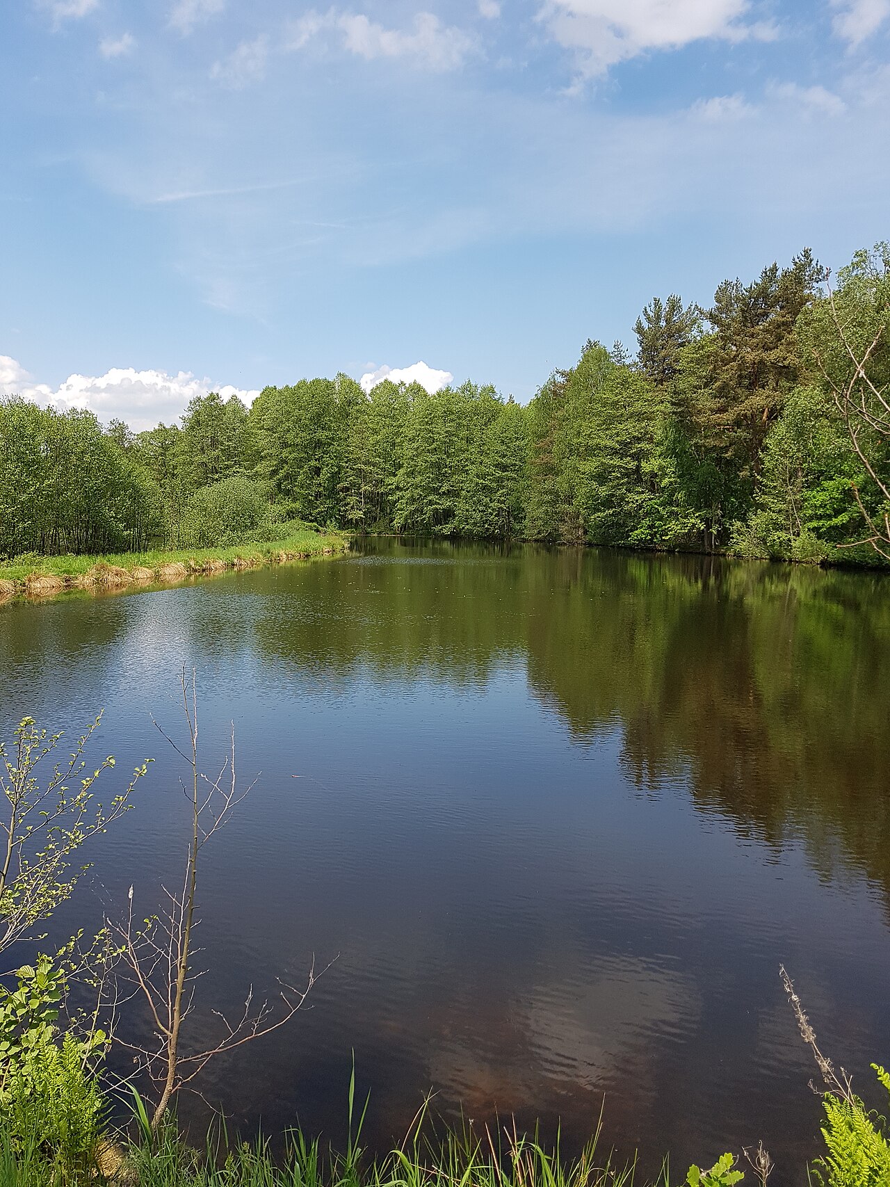 nature reserve haidenaab