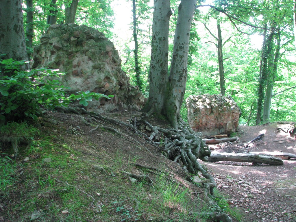 Hirschburg in Hirschberg -Leutershausen