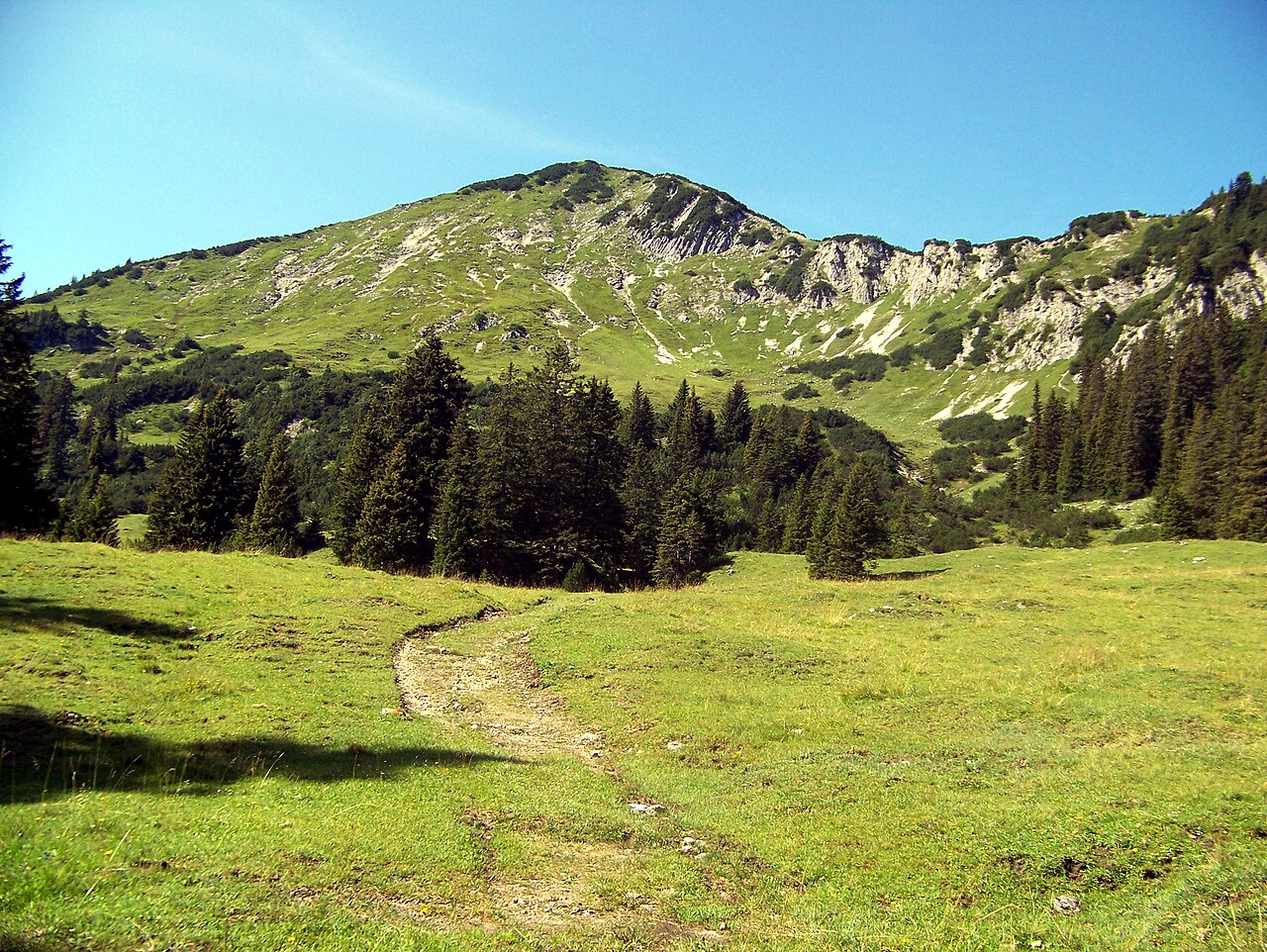 Ochsenälpeleskopf
