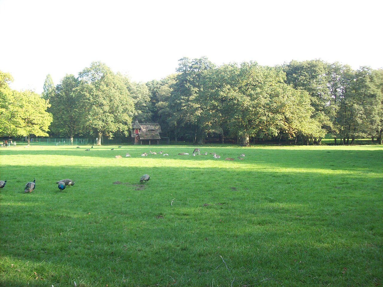 Foto von Hirschpark