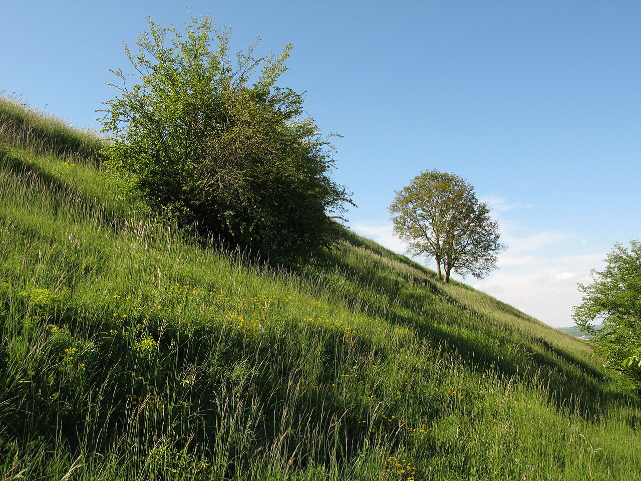 Naturschutzgebiet Hochberg im Kaiserstuhl