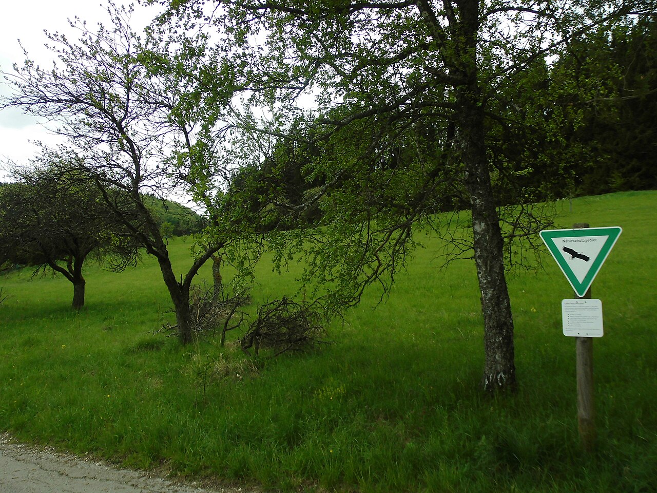 Naturschutzgebiet Hochberg (Nr
