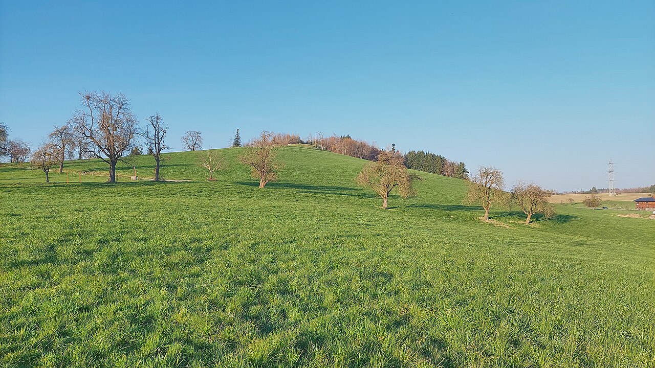 Hochberg in the municipality of Wangen im Allgäu, view from southwest