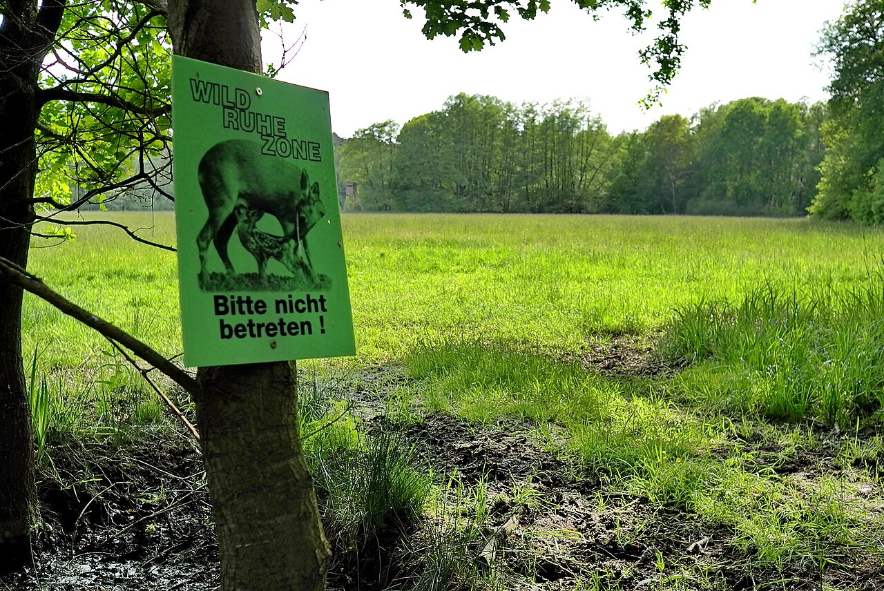 Naturschutzgebiet „Hochbruch von Hausen“: Schild „Wildruhezone“ und Wiese