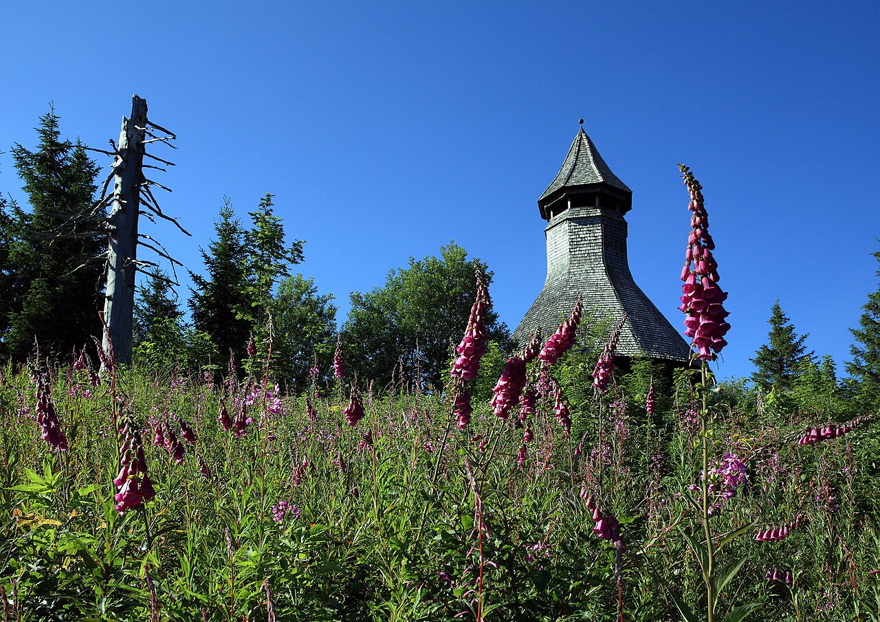 Hochkopfturm bei Todtmoos