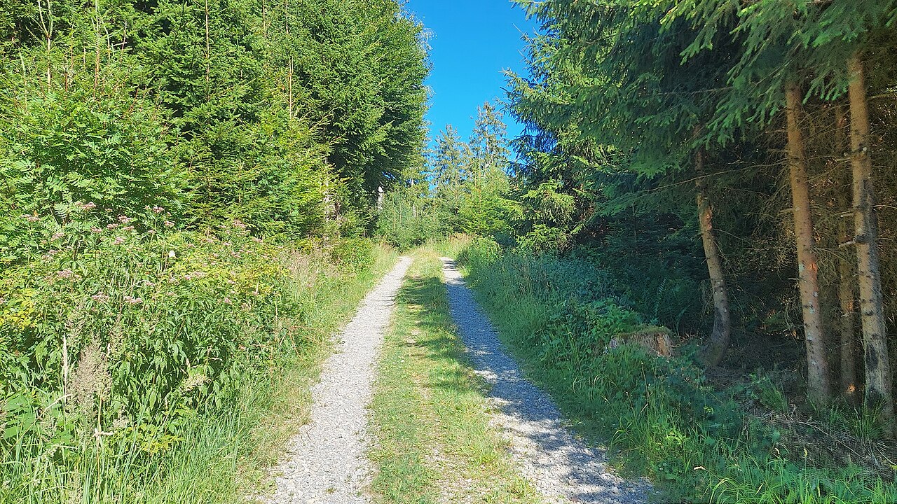 Höhe of the Adelegg, view from west