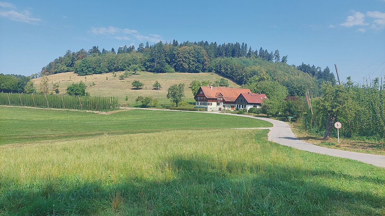 Höhenberg in the municipality of Tettnang, view from southeast