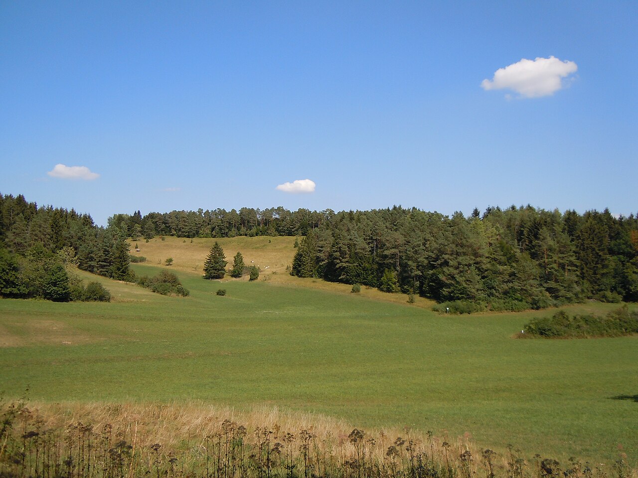Naturschutzgebiet "Höhnriß-Neuben" (Schutzgebiets-Nr