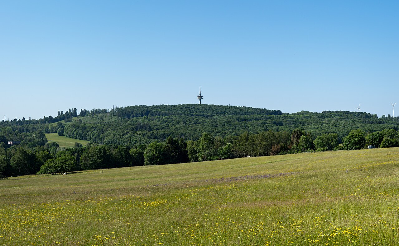 The Höllberg in the Westerwald, seen from the northeast