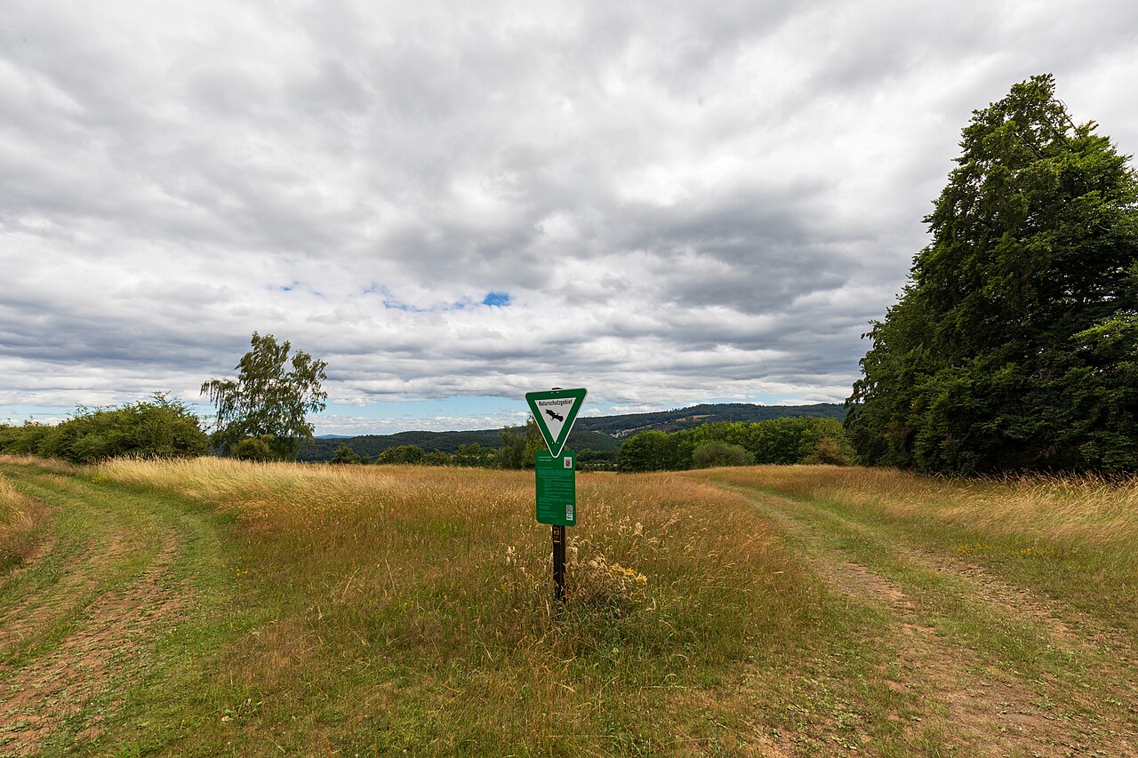 Hörbacher Viehweide - Naturschutzgebiet im Lahn-Dill-Kreis