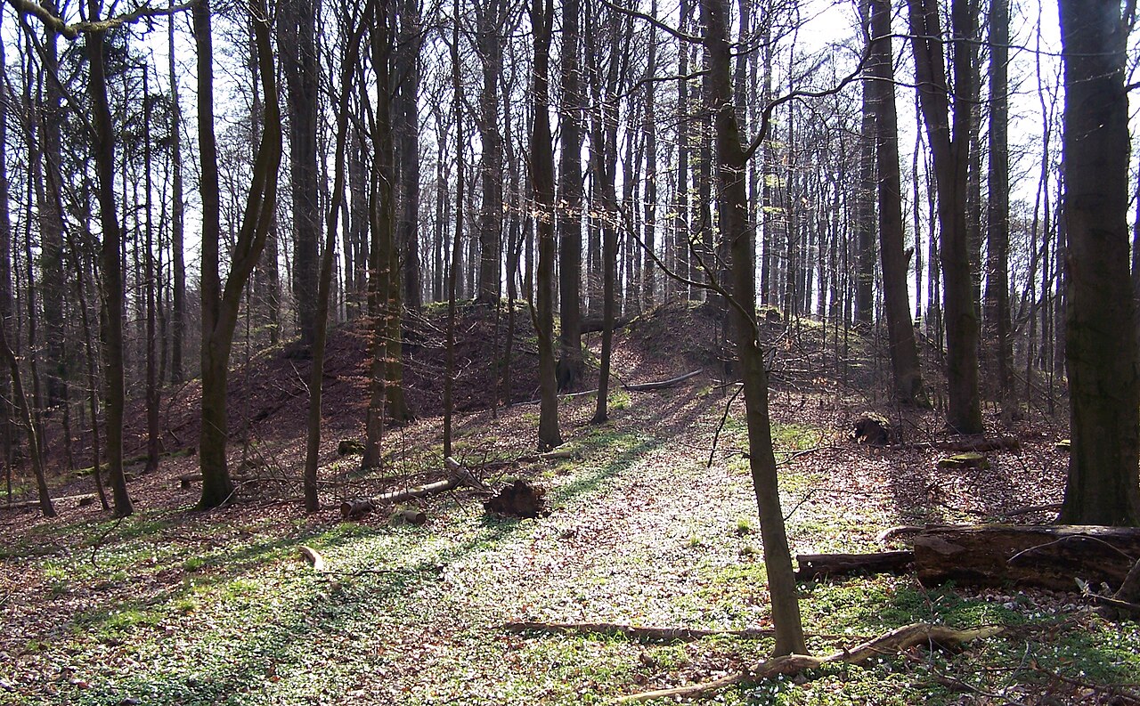 Hohe Burg , frühslawischer Burgwall westlich von Schlemmin (Gemeinde Bernitt)