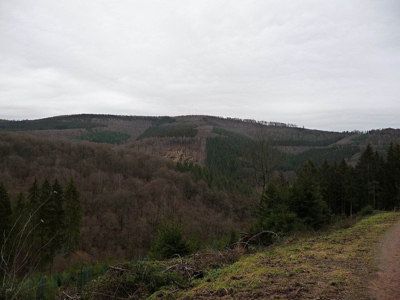 Hohe Warte im Odenwald