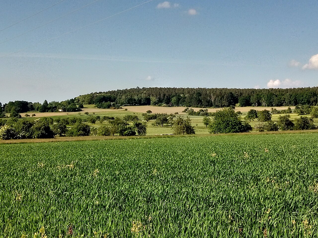 Blick auf den Hohe Berg bei Sulzbach am Main