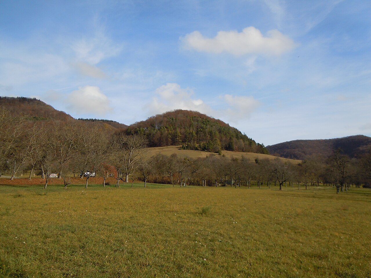 Naturschutzgebiet "Hohenäcker-Imenberg" (Schutzgebiets-Nr